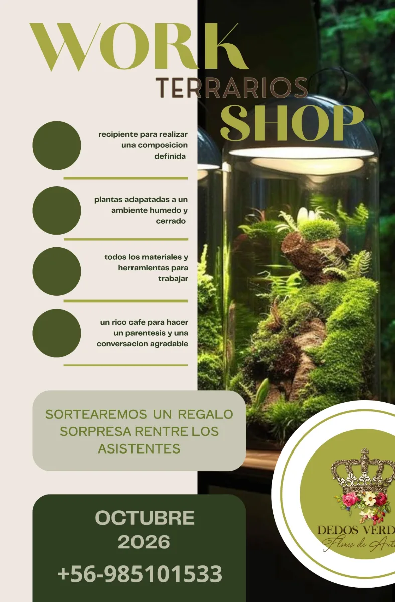 Fotografía de Taller de Terrarios